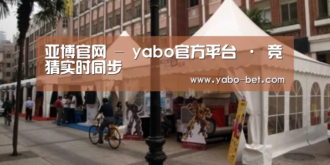 案例标题九