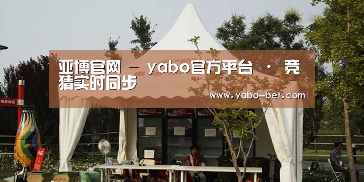 案例标题五
