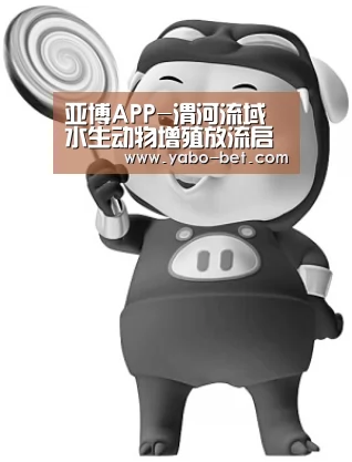 亚博网站