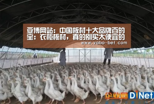 亚博网站:中国板材十大品牌百的宝:衣柜板材,真的别买太便宜的!(图1) 亚博网站