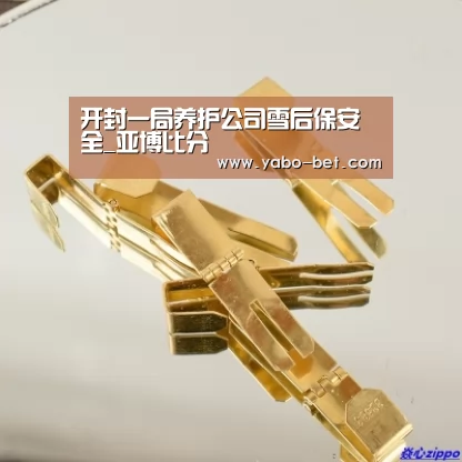 开封一局养护公司雪后保安全_亚博比分(图3) 亚博APP