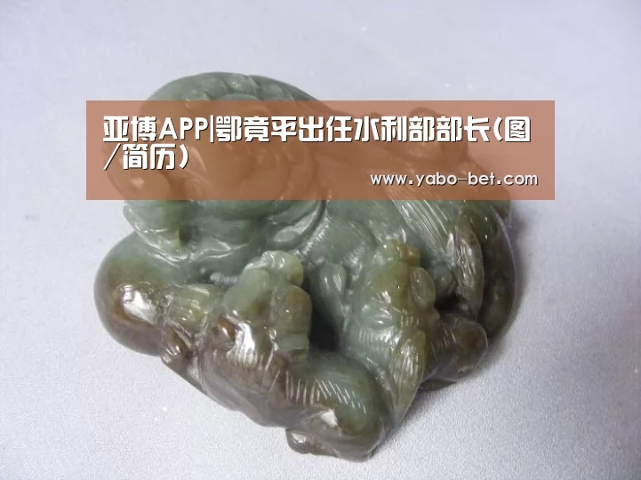 亚博APP|鄂竟平出任水利部部长(图/简历)(图4) 亚博比分