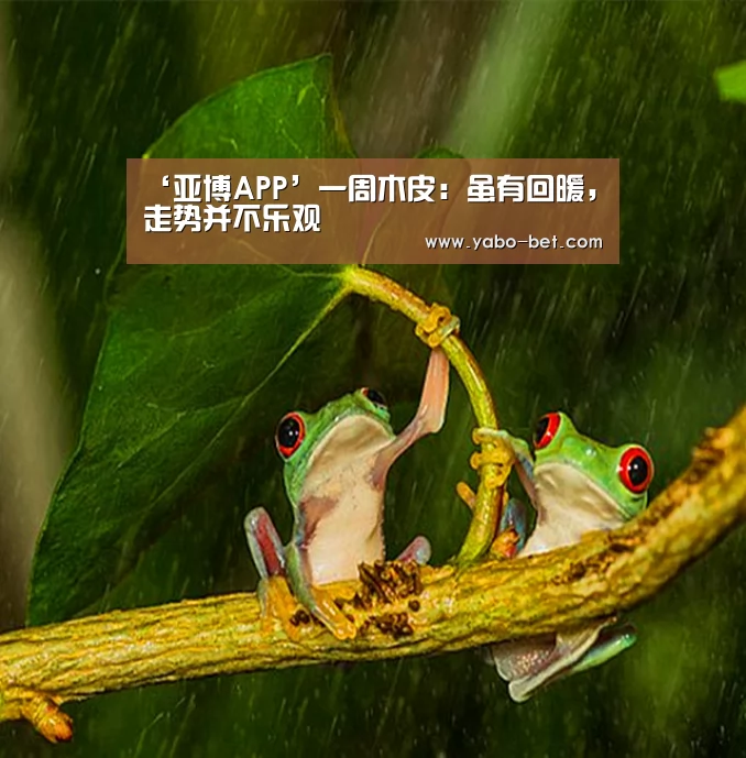 ‘亚博APP’一周木皮:虽有回暖,走势并不乐观(图1) 亚博比分