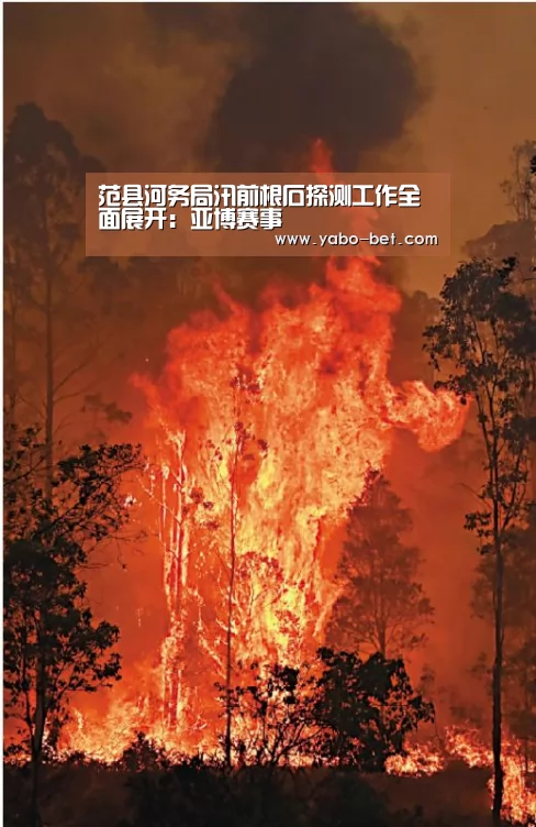范县河务局汛前根石探测工作全面展开:亚博赛事(图3) 亚博APP