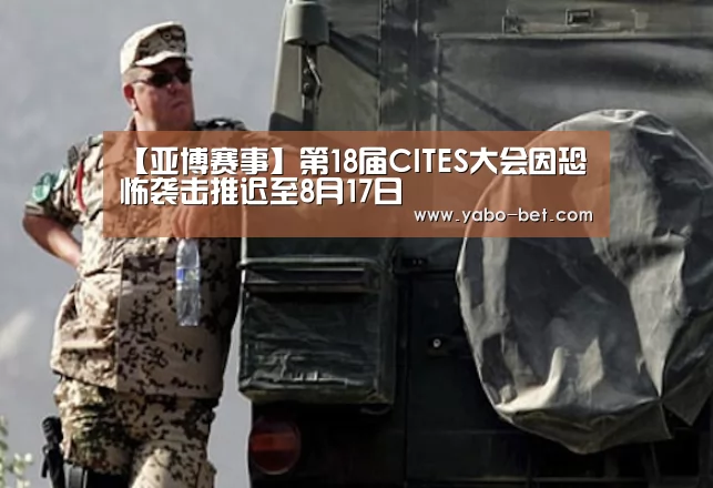亚博网站