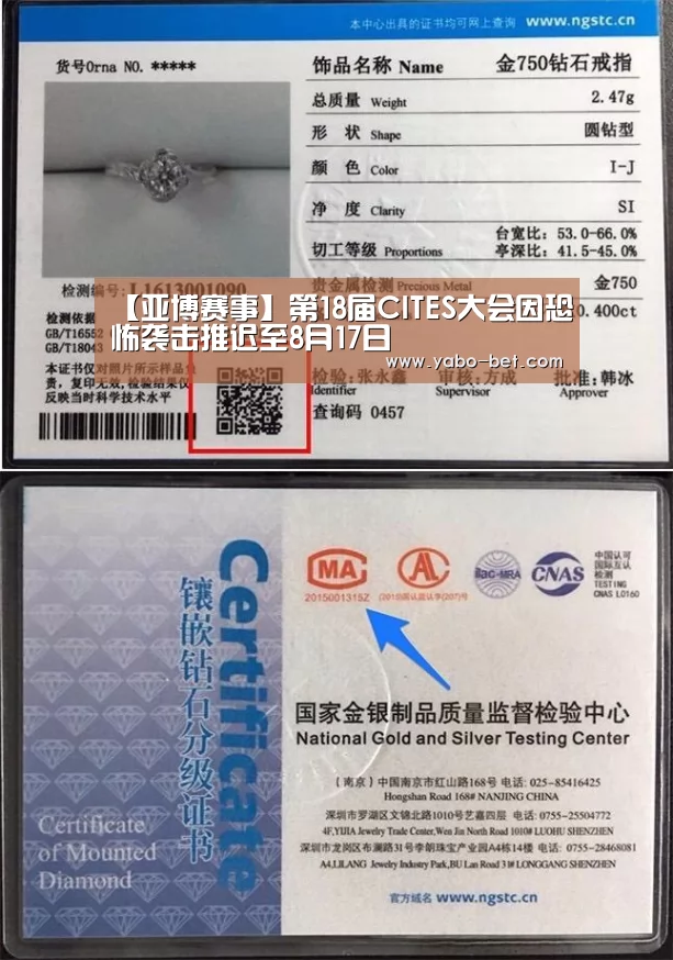 亚博网站