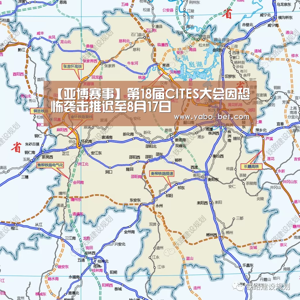 亚博网站