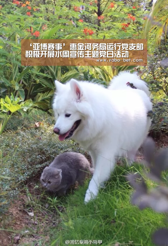 ‘亚博赛事’惠金河务局运行党支部积极开展水周宣传主题党日活动(图2) 亚博网站