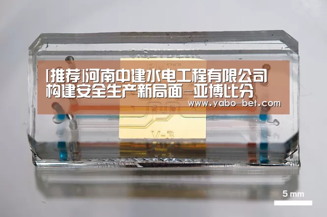 亚博网站